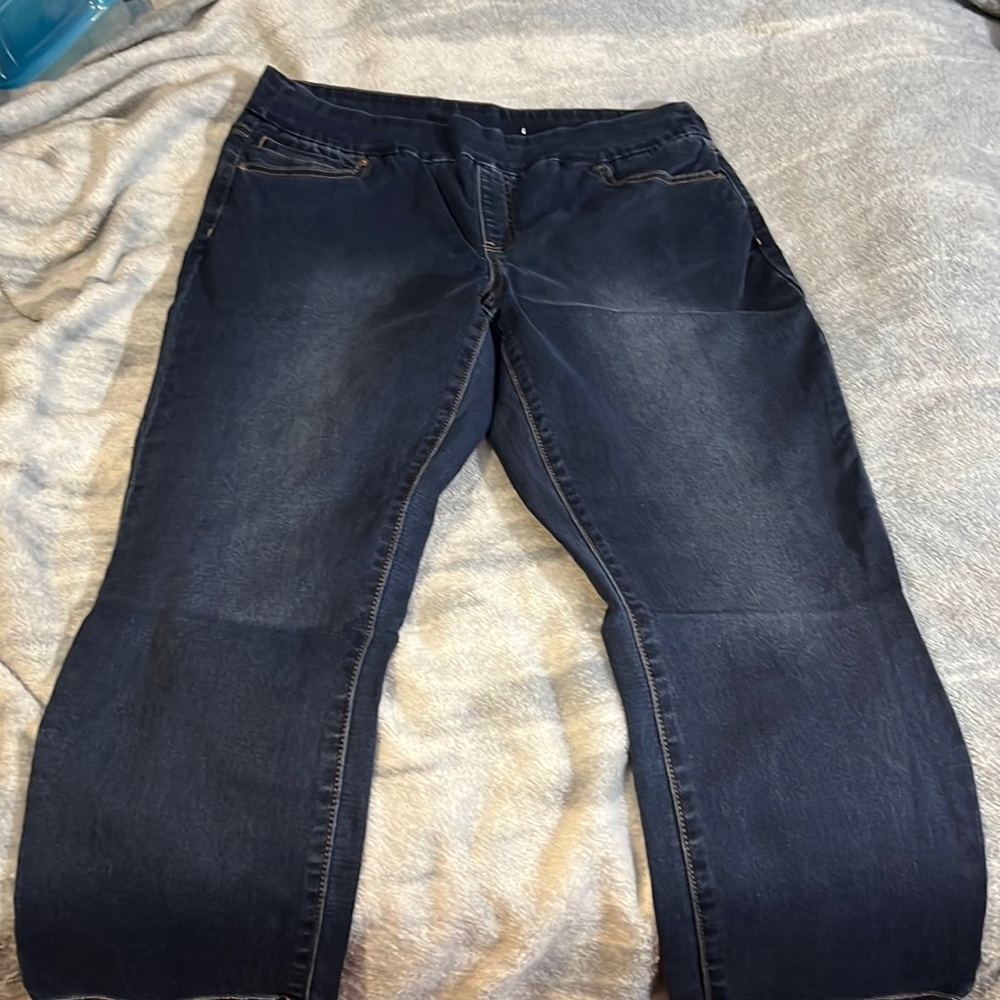 Westbound size 14 capris